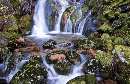 Casa do Avô - Foto 20