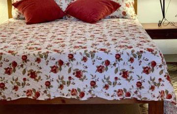 Patizal - Santuário de animais - Foto 5