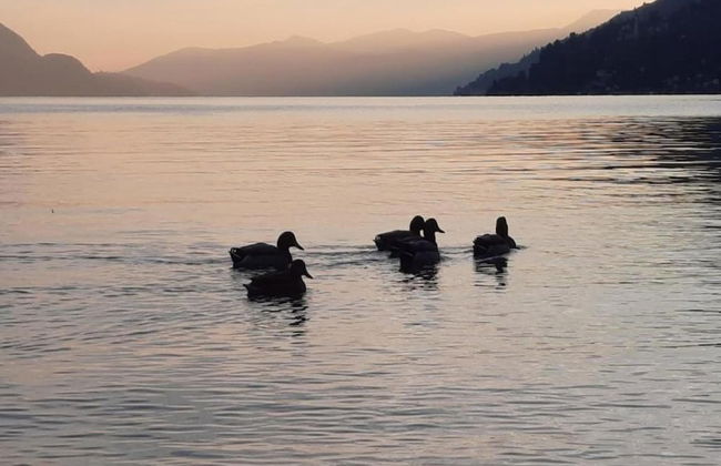 Spacious Retreat in Cannero - Foto 29