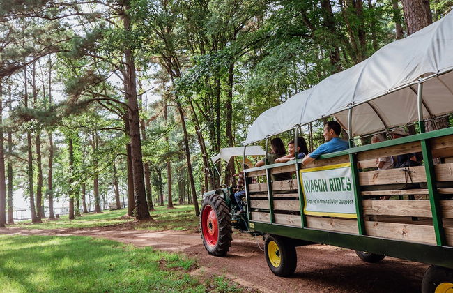 Holiday Inn Club Vacations Villages Resort at Lake Palestine by IHG - Photo 53