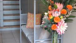 Maison Cosy Mulhouse - Foto 4