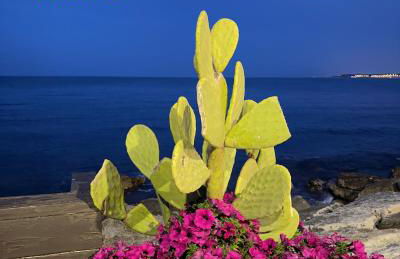 VISCHI Roof con TERRAZZO e vista - Foto 12