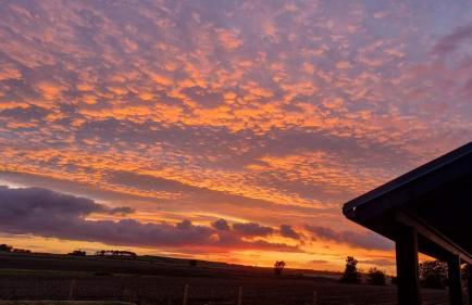 Wester Den - Photo 32