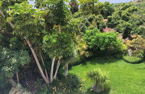 Taburiente - Foto 37