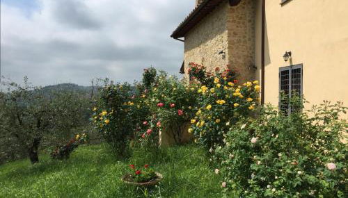 Sabina Essence Villa di charme - Foto 1