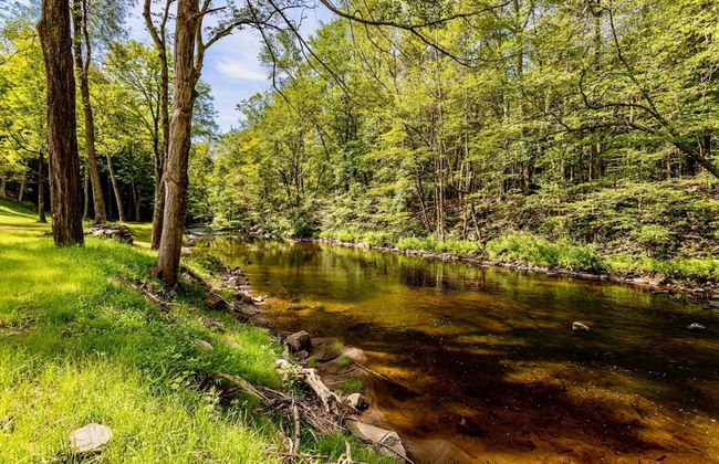 Family Fun Oasis Hot Tub Steam Room Pool Stream Firepit Games - Foto 73