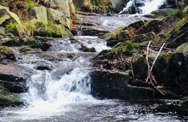 Luxus Ferienhäuser Chalets zum Ilsetal mit Kamin & Sauna in Ilsenburg im Harz - Foto 43