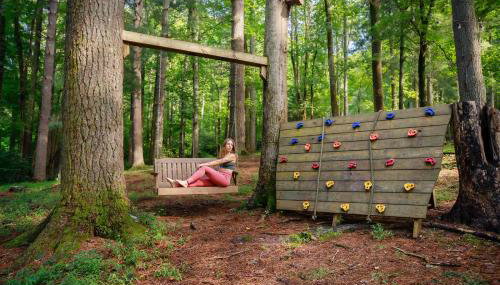 Saluda Summit Cabin at Cabin Fever - Foto 4