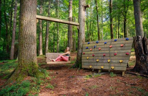 Bird's Nest cabin at Cabin Fever in NC - Foto 16