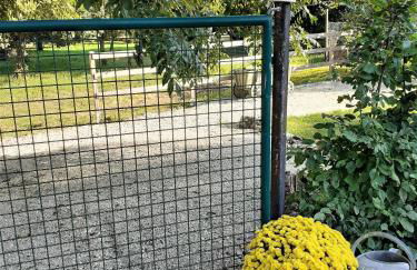 Ferienwohnungen "Zum Lochfeld" - Foto 22