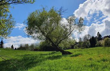 Zum Elleblick - Foto 39