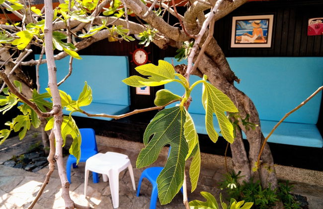 Sea Marble Villa Apartments - Photo 21