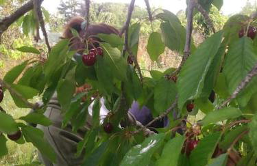 Uvatanta Cottage - Foto 29