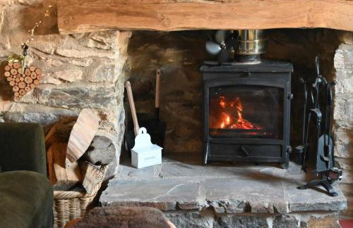 Bro Deg - Moylegrove - Foto 25