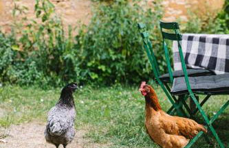 Refuge de campagne au coeur du Périgord - Foto 17