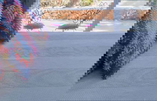 Haveli House - Photo 2