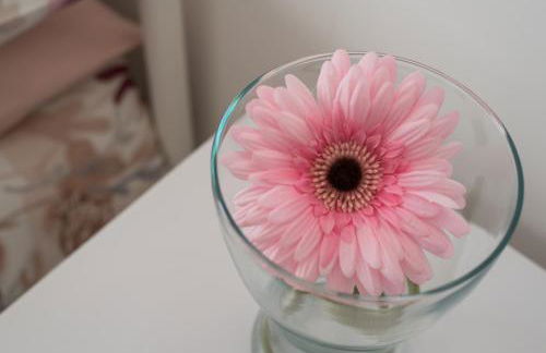 La Casa dei Nonni - Photo 34