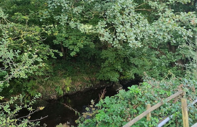 Glamping Hut - Riverview 4 - Photo 16