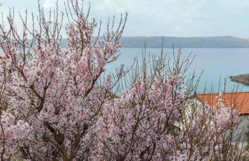 Apartmani Štampar - Foto 11