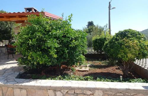 Apartments with parking space Mrljane - Pasman - 20056 - Photo 22