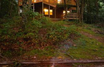 Cheerful Two Bdrm Cabin with Hot Tub & Pet Friendly - Foto 4