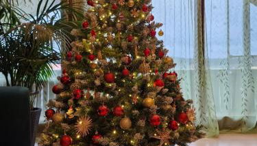 Ferienwohnung Schwarzer Kater - Foto 3