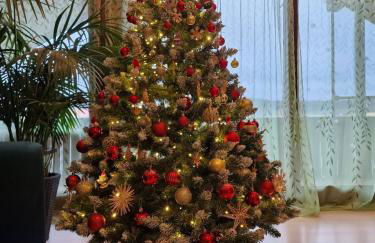 Ferienwohnung Schwarzer Kater - Foto 3