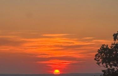 Bruyère en Fleur - Photo 28