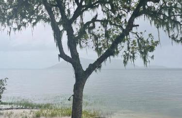 Piaça House - Piaçaguera -Pr - Foto 11