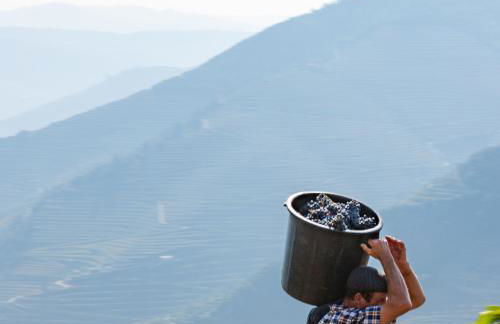 Casa de Casal de Loivos - Foto 119