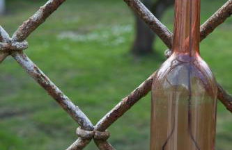 Goldhammer - Foto 10