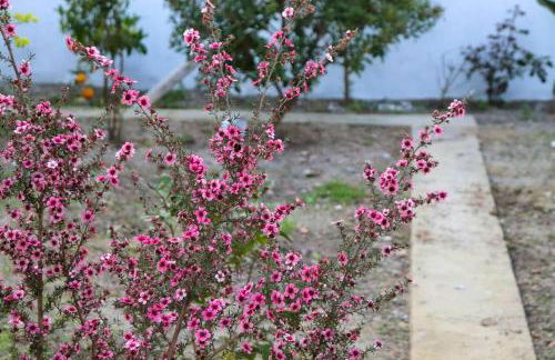 Charming house with fireplace in Grândola, 142 m², Internet included - Foto 18