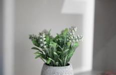 Dante Square - Photo 60