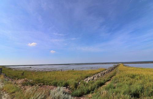 Ferienwohnungen "Zur Friesen Freude" - nur für Feriengäste - Foto 57