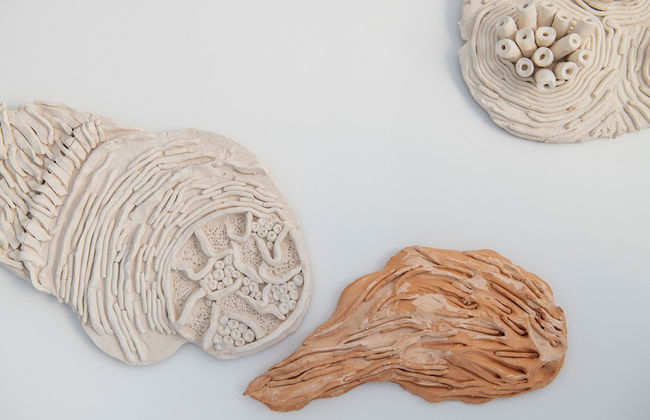 Suites Roc Portonova - Foto 35