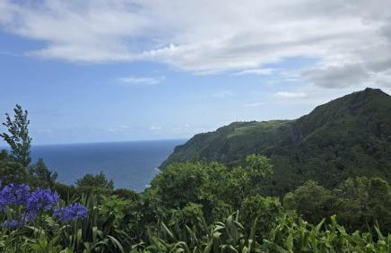 Baía do Porto das Lajes - Foto 25