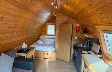 Conifer Cabins - Photo 44