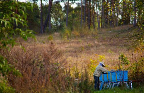 Domek w Zakątku Andrzeje Śniczany 18 - Photo 51