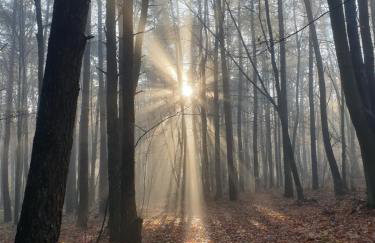 Apartamenty na Wzgórzu Boho 1- Jacuzzi, sauna, survival, free parking - Foto 29