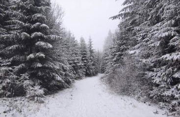 Bungalow Schwarzatalblick in Bad Blankenburg Ortsteil Böhlscheiben - Foto 19