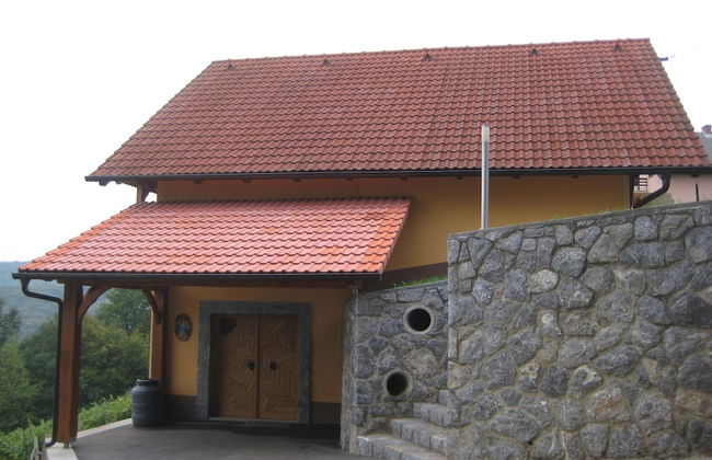 Vineyard cottage Ucman - Foto 12