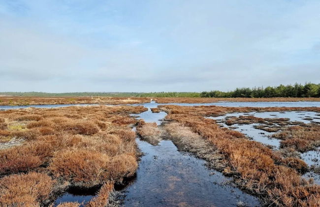 6 Person Holiday Home in Henne-by Traum - Foto 47