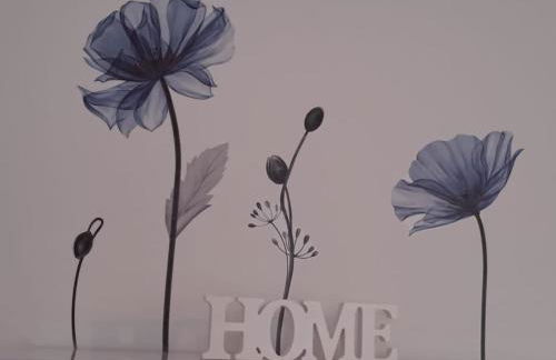 Appartamento Rossana - Luni (SP) - Foto 19