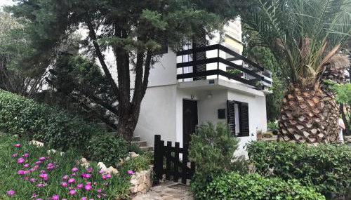 Apartment Lavanda - Foto 5, Garden