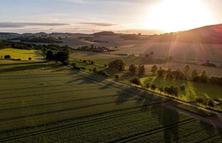 Ferienwohnung im Grießetal - Foto 13