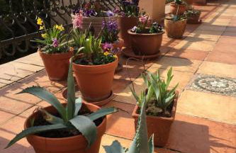 Holiday Home an der Kaschubischen Seenplatte by Interhome - Foto 84