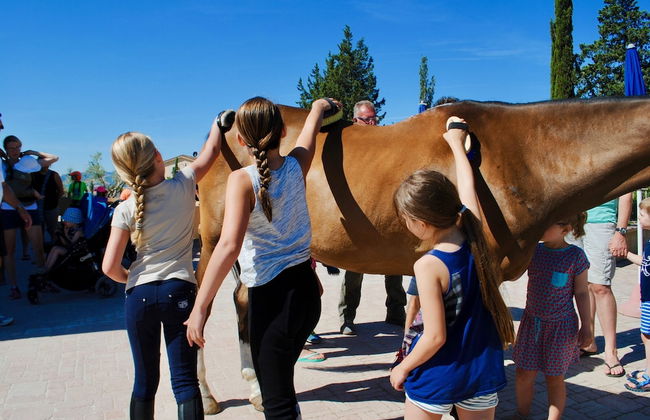 Agriturismo Podere Diacceroni - Foto 50