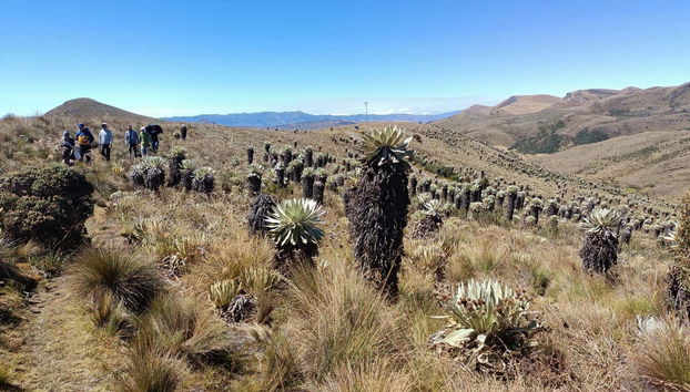 Excursión al páramo de Ocetá - Foto 3, Paisajes del páramo de Ocetá