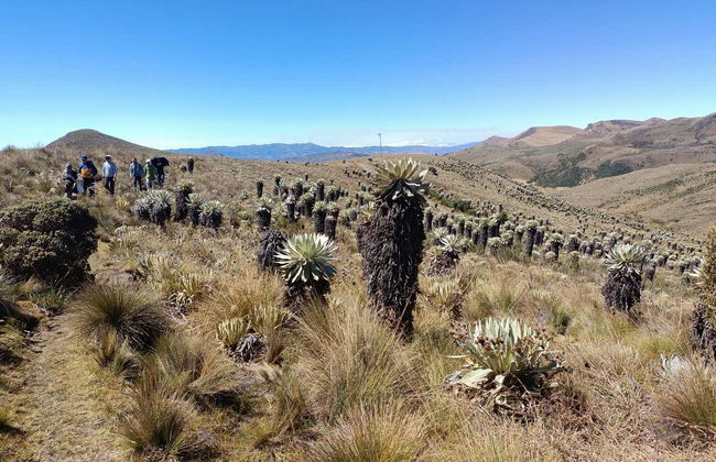 Excursion au Páramo d'Ocetá - Photo 3