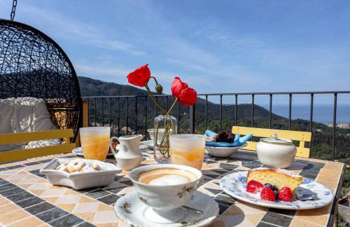 Angiolina's Farm - Foto 12